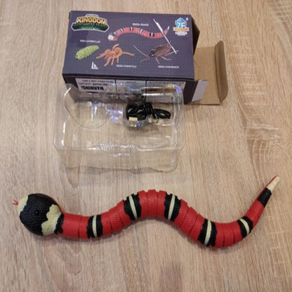 Snake Toy
