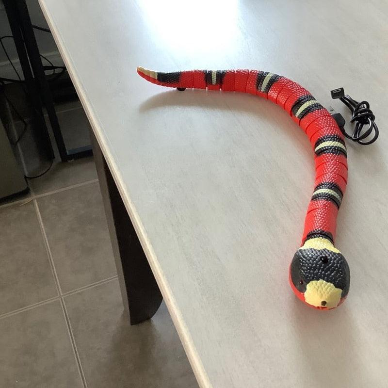 Snake Toy