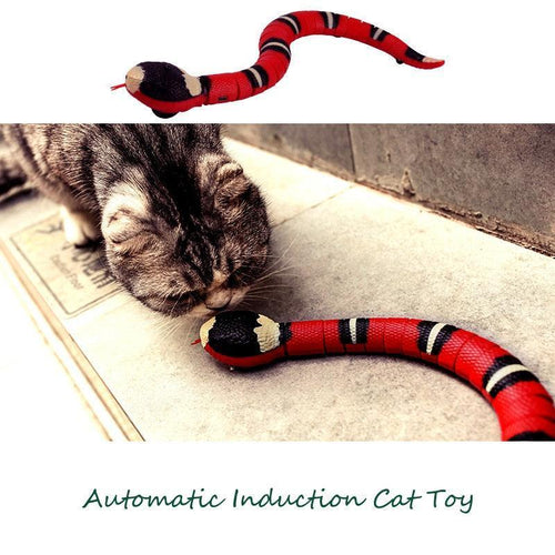 Snake Toy - Nice Idea