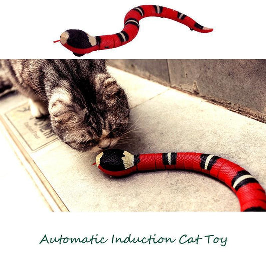 Snake Toy - Nice Idea