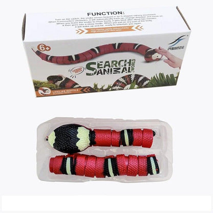 Snake Toy