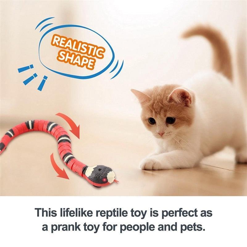 Snake Toy